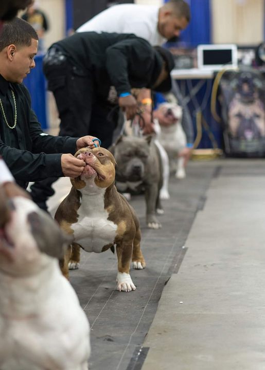 271937464_1994145954105831_3083960051801425103_n